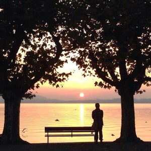 1390662_10152008528562718_1440634633_n